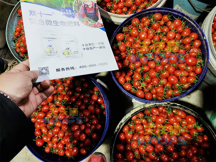 夫沃施進口肥怎么樣？