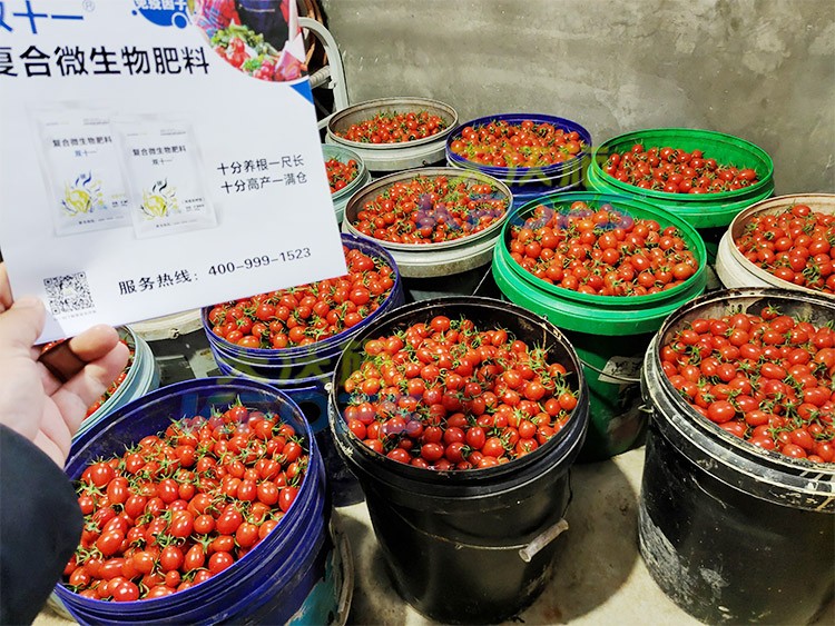 夫沃施進口肥怎么樣？