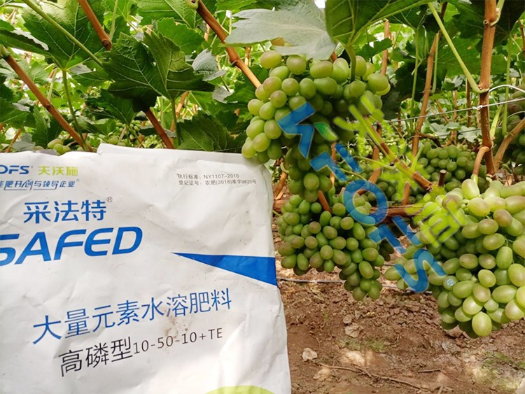 水溶肥價(jià)格高，可是用的人卻很多！