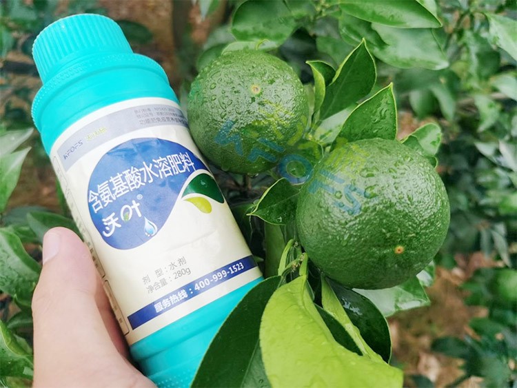 柑橘膨果轉(zhuǎn)色期用什么水溶肥好？