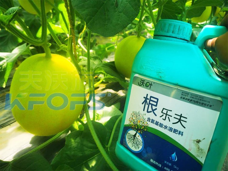 甜瓜用哪個水溶肥廠家的產(chǎn)品好？