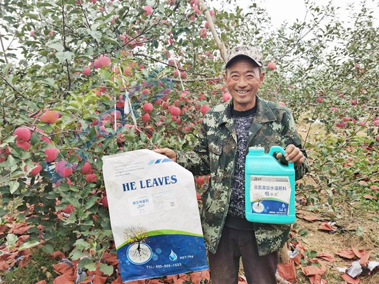 蘋果樹用什么生根肥好？看看這款！
