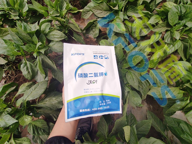 磷酸二氫鉀廠家，這家不要錯過！