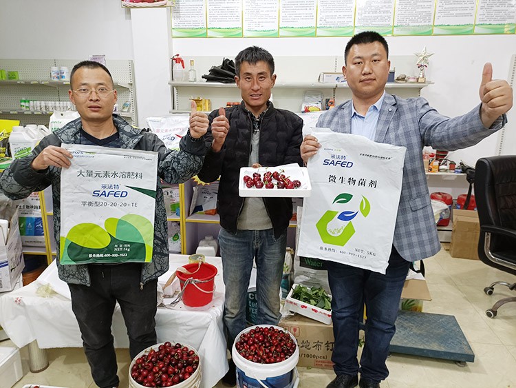 水溶肥哪家好？看完這篇不疑惑！