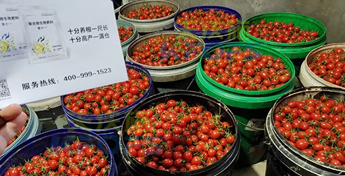夫沃施進口肥怎么樣？