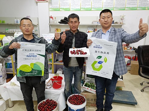 水溶肥哪家好？看完這篇不疑惑！