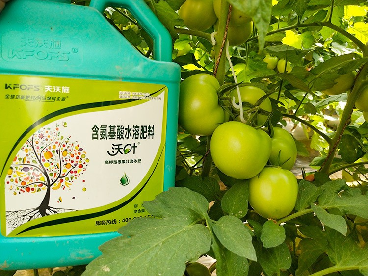 蔬菜沖施肥哪個品牌好？經(jīng)驗(yàn)實(shí)談