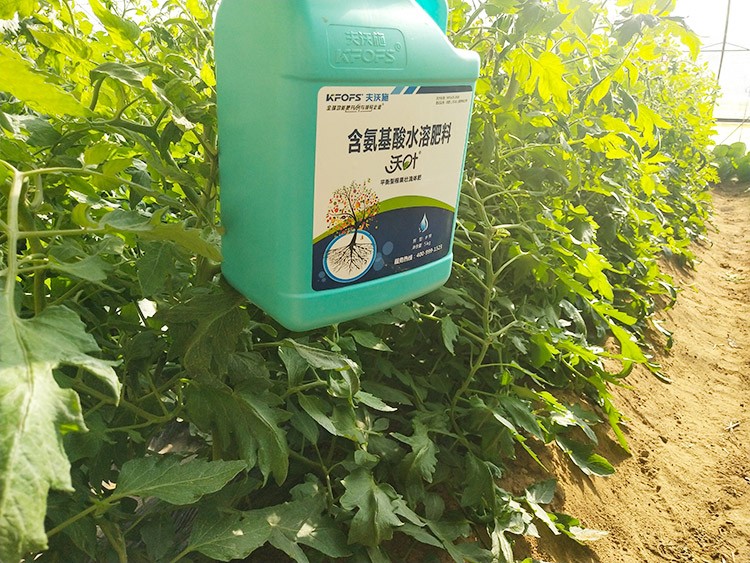 蔬菜沖施肥哪個品牌好？經(jīng)驗(yàn)實(shí)談