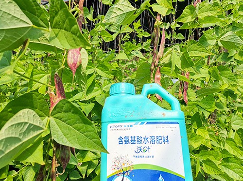 進(jìn)口水溶肥，懂行的人都這么選！
