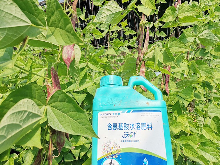 進(jìn)口水溶肥，懂行的人都這么選！