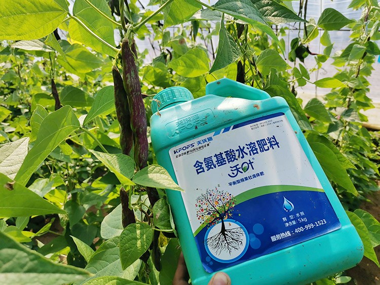 進(jìn)口水溶肥，懂行的人都這么選！