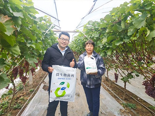 水溶肥廠家夫沃施都說好？好在哪？