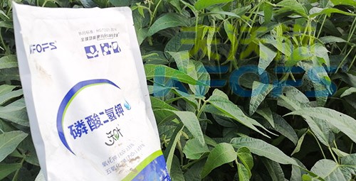 進口磷酸二氫鉀不得不了解的一個品牌！