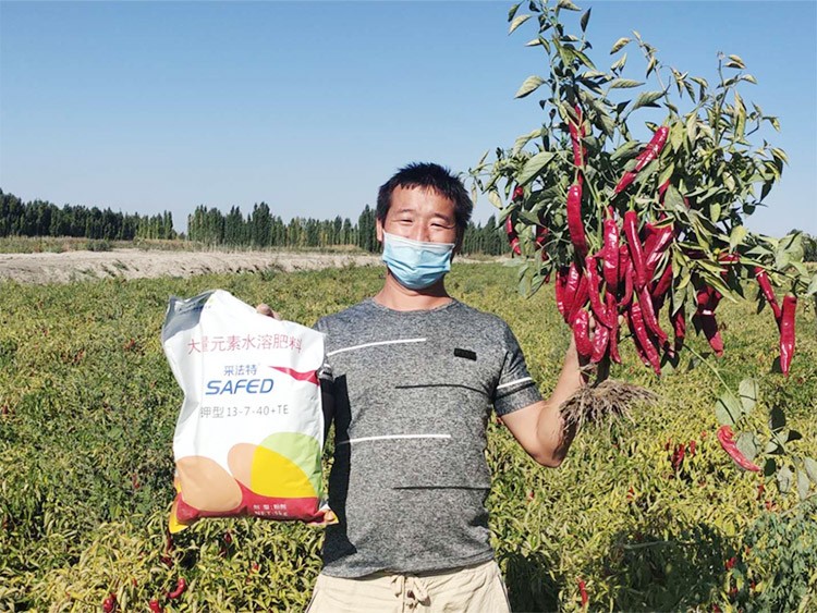 肥料廠家，有經(jīng)驗(yàn)的農(nóng)資人這樣選！