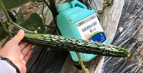生根劑要安全不傷根，就選這個(gè)牌子！