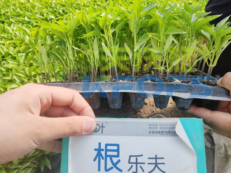 生根劑要安全不傷根，就選這個(gè)牌子！