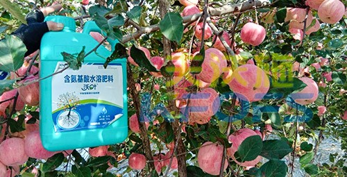 沖施肥怎么去沖施？什么牌子的好？