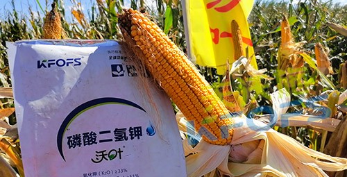 進(jìn)口磷酸二氫鉀哪個(gè)品牌好？