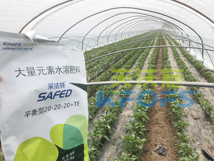 大量元素水溶肥為什么都說進口的好？