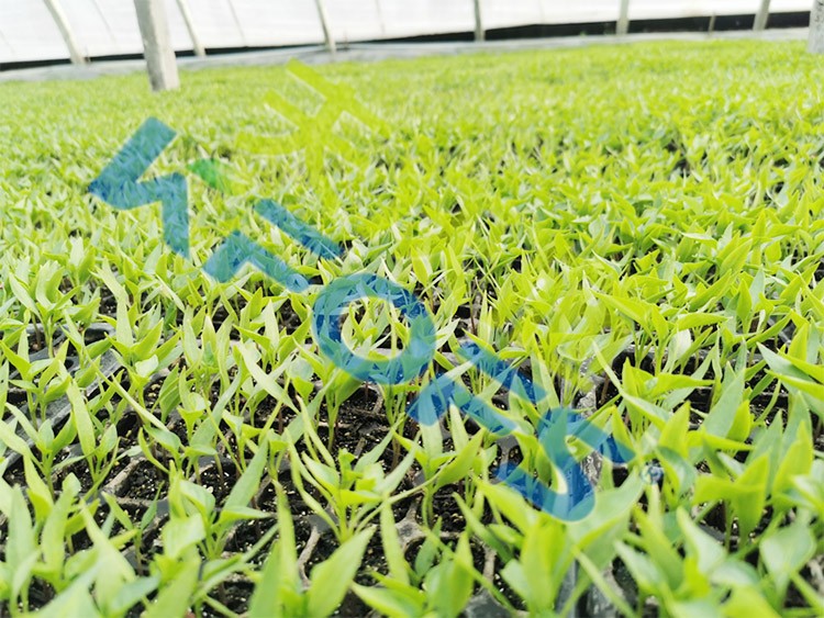 微生物菌劑廠家哪家好？