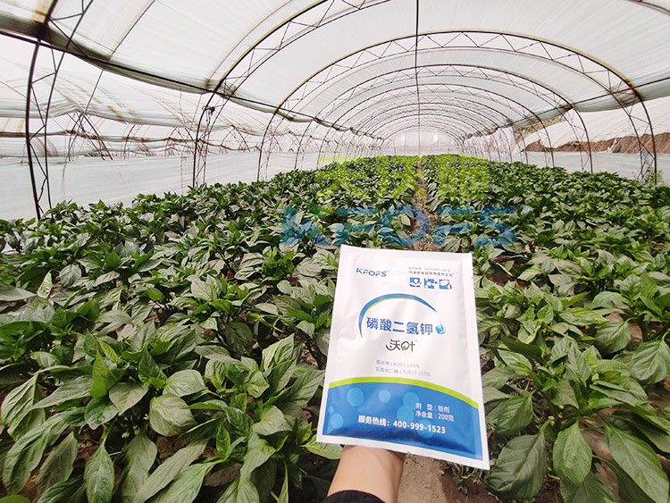 磷酸二氫鉀的正規(guī)廠家是什么樣的？