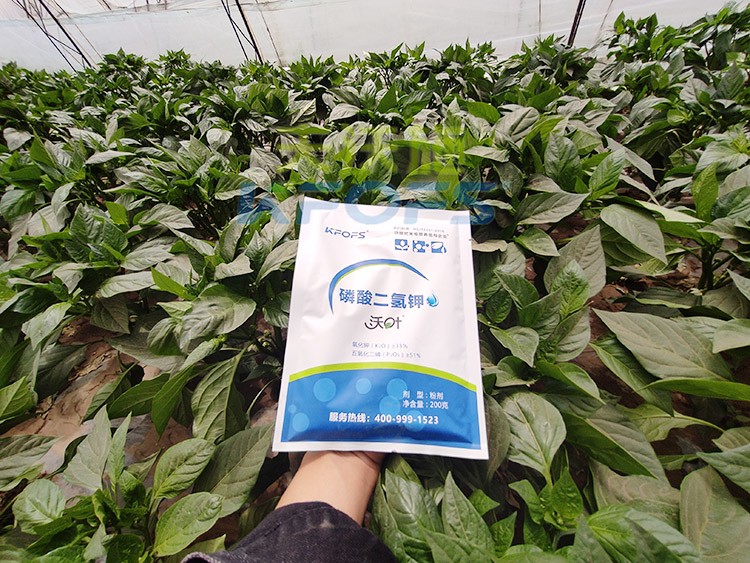 磷酸二氫鉀的正規(guī)廠家是什么樣的？