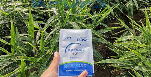 磷酸二氫鉀選這個品牌，不會錯！