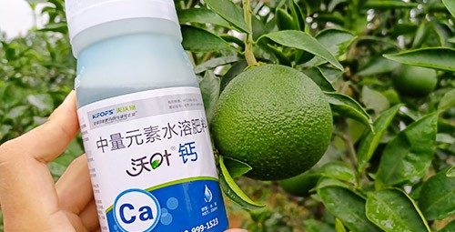 果樹補(bǔ)鈣用什么鈣肥好？