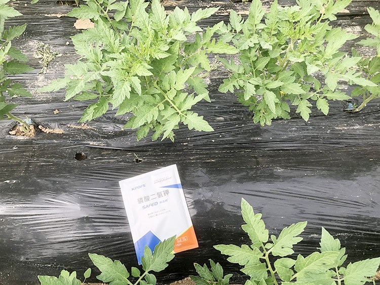 什么牌子的磷酸二氫鉀好？這個(gè)答案不要錯(cuò)過！
