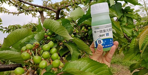 硼肥哪個(gè)品牌的好？這款不要錯(cuò)過！