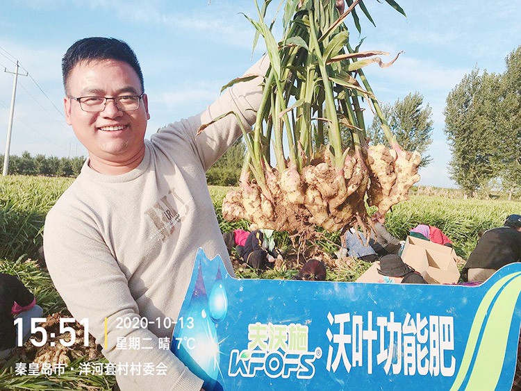 進(jìn)口水溶肥推薦你選沃葉，這就是原因！