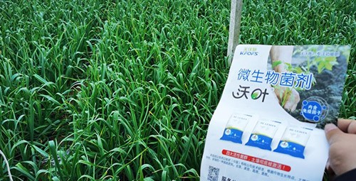 微生物菌劑選它，放心又舒心！