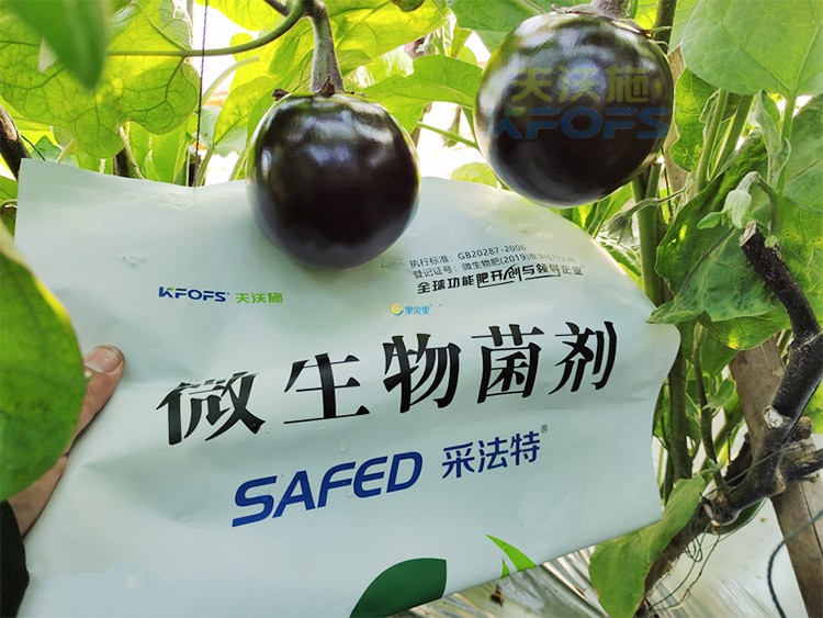進口水溶肥蔬菜上怎么用效果好？