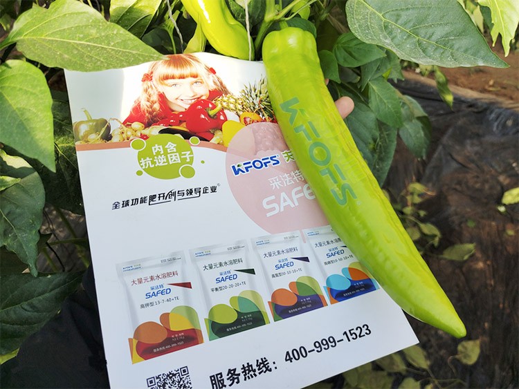 進口水溶肥蔬菜上怎么用效果好？