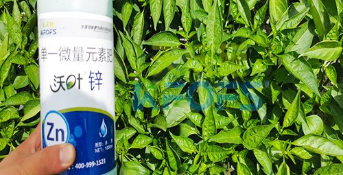 鋅肥是什么肥料？辣椒用有什么好處？