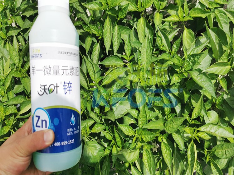 鋅肥是什么肥料？辣椒用有什么好處？