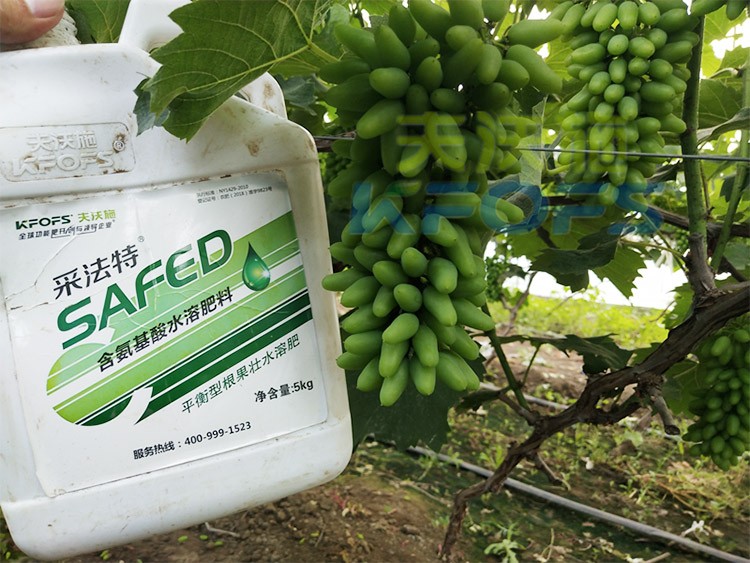 葡萄水溶肥品牌哪個(gè)好？案例告訴你！