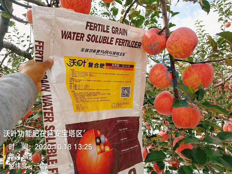水溶肥料-沃葉顆粒水溶肥蘋(píng)果.png