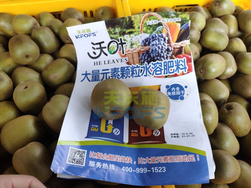 獼猴桃用哪款顆粒水溶肥產(chǎn)量高？