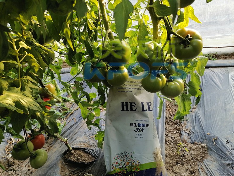 進(jìn)口水溶肥不知道這個(gè)牌子，你虧大了！