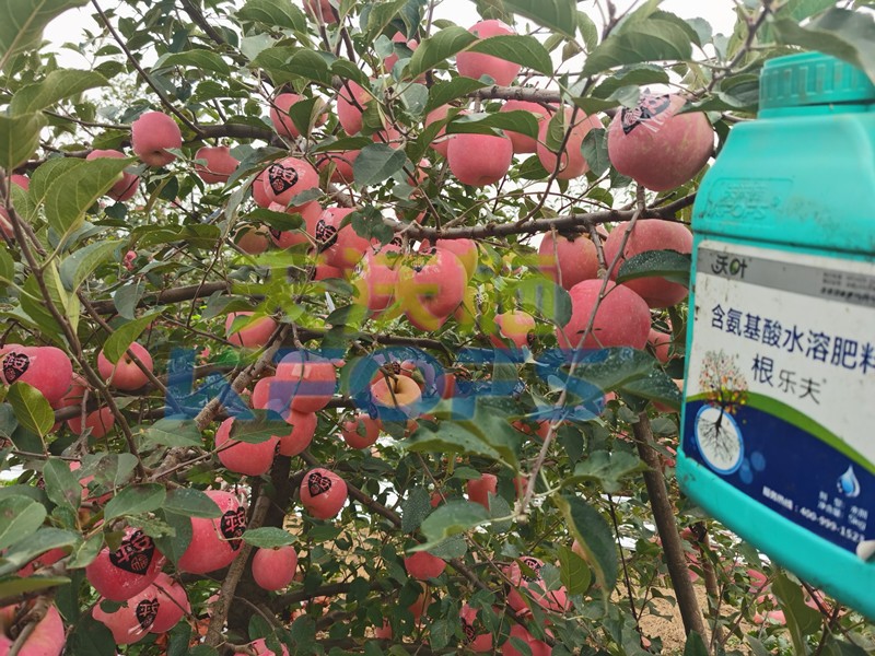 不要只關(guān)注水溶肥一袋多少錢(qián)，還有更重要的！