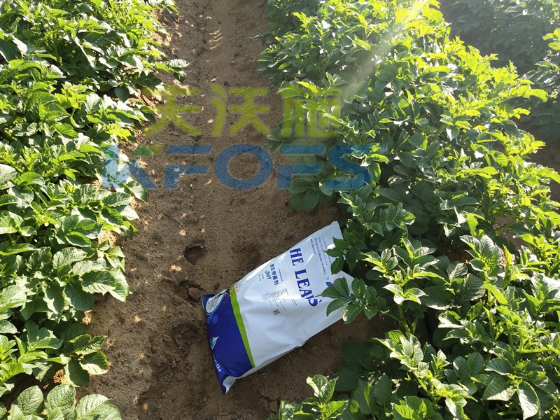 8年種植經(jīng)驗老農(nóng)說，種土豆用什么肥料好！