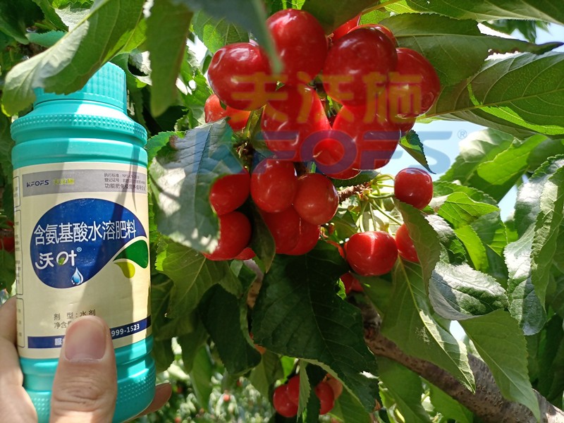這款水溶肥，種植戶都愿意長(zhǎng)期使用！