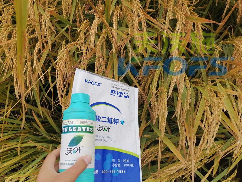 磷酸二氫鉀的用途真大，這三條必看！