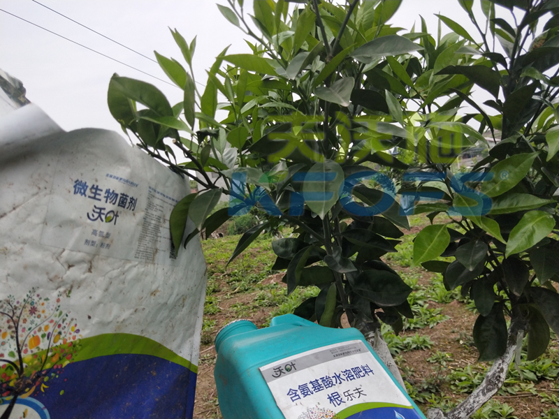 春季果樹用什么肥料好？看看您用對了嗎？