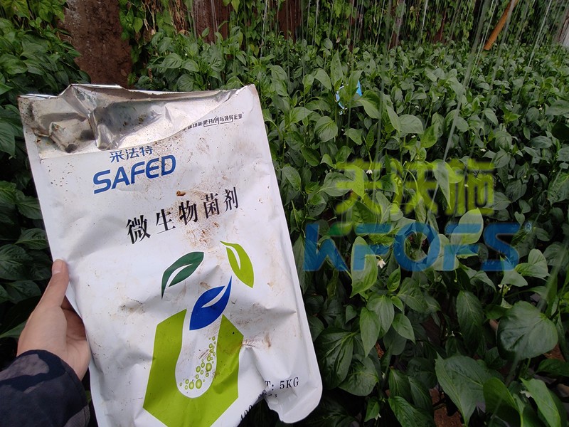 微生物菌劑，你不知道的秘密在這里！