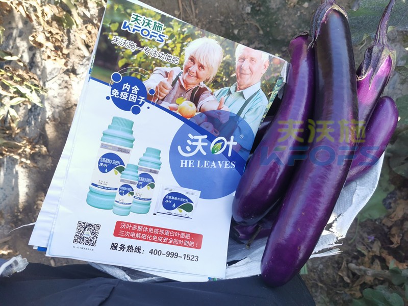 葉面肥哪個(gè)好？這款都說(shuō)好