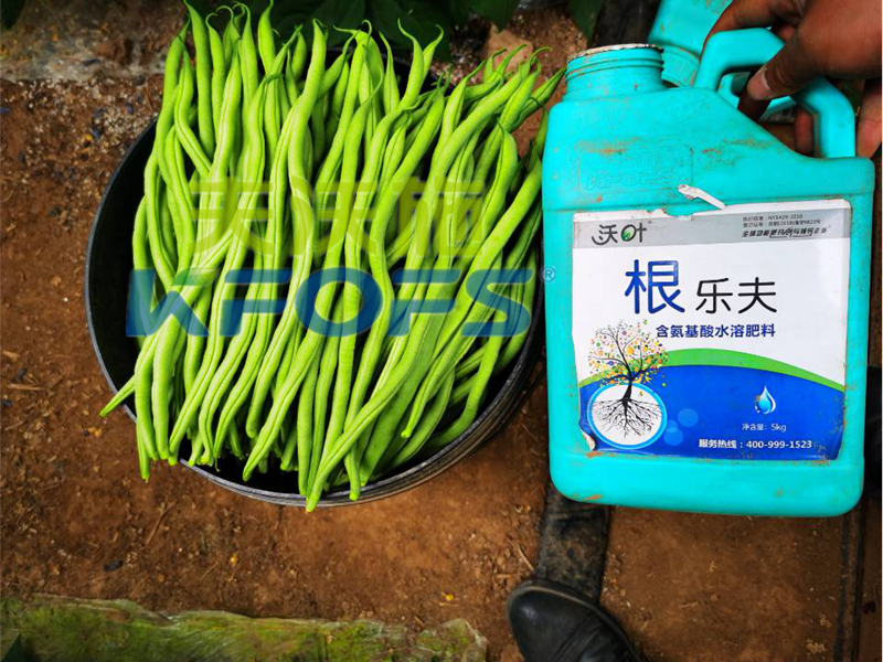 豆角用什么肥料產(chǎn)量高？效益好？