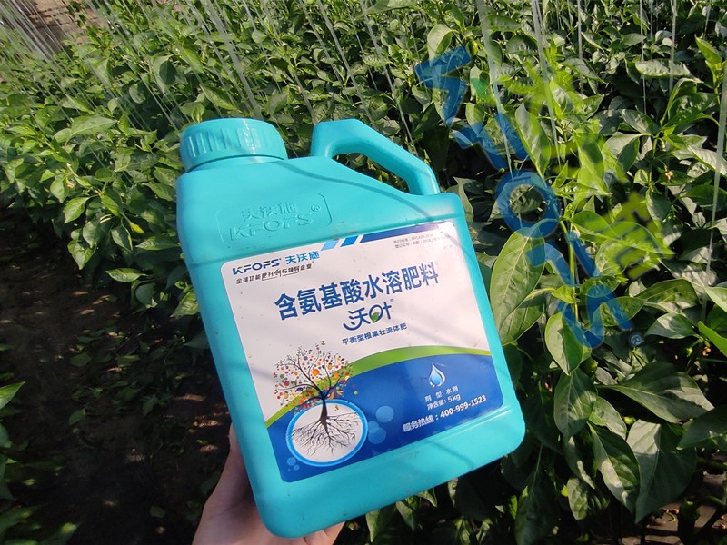 水溶肥與沖施肥有什么區(qū)別？