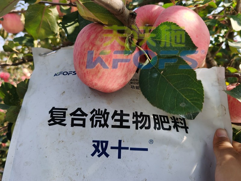 什么樣的水溶肥廠家值得客戶長期跟隨？